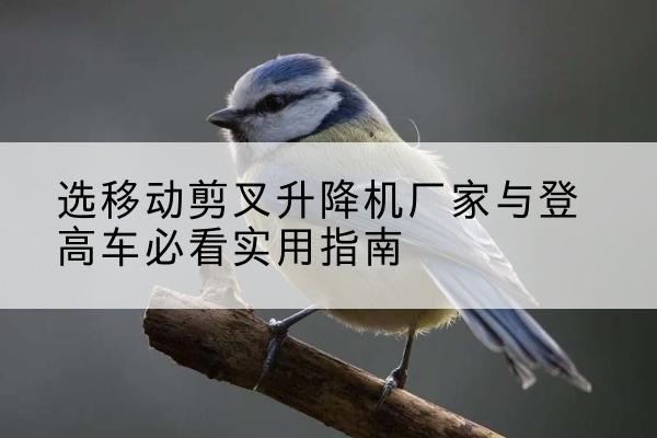 达拉特旗电动升降机厂家-选移动剪叉升降机厂家与登高车必看实用指南