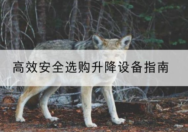 达拉特旗升降货梯厂家推荐-*安全选购升降设备指南