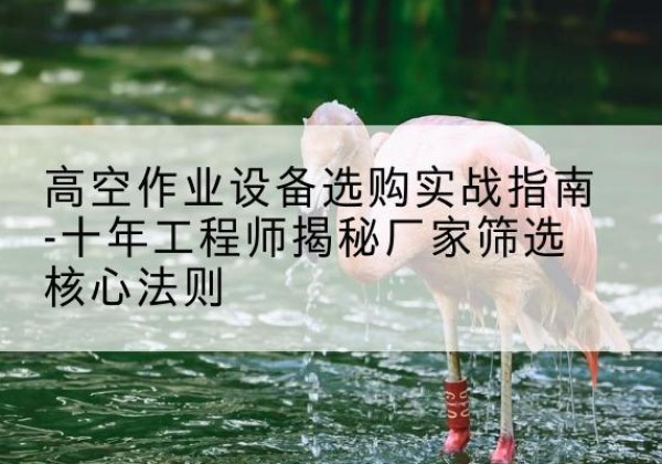 达拉特旗剪叉式升降机厂家-高空作业设备选购实战指南-十年工程师揭秘厂家筛选核心法则